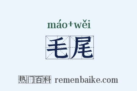 毛尾是什么意思的图片